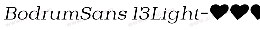 BodrumSans 13Light字体转换